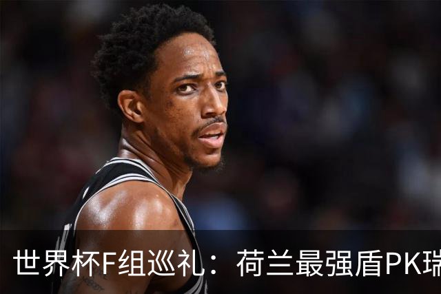 世界杯F组巡礼：荷兰最强盾PK瑞典犀利刀 日本短板明显